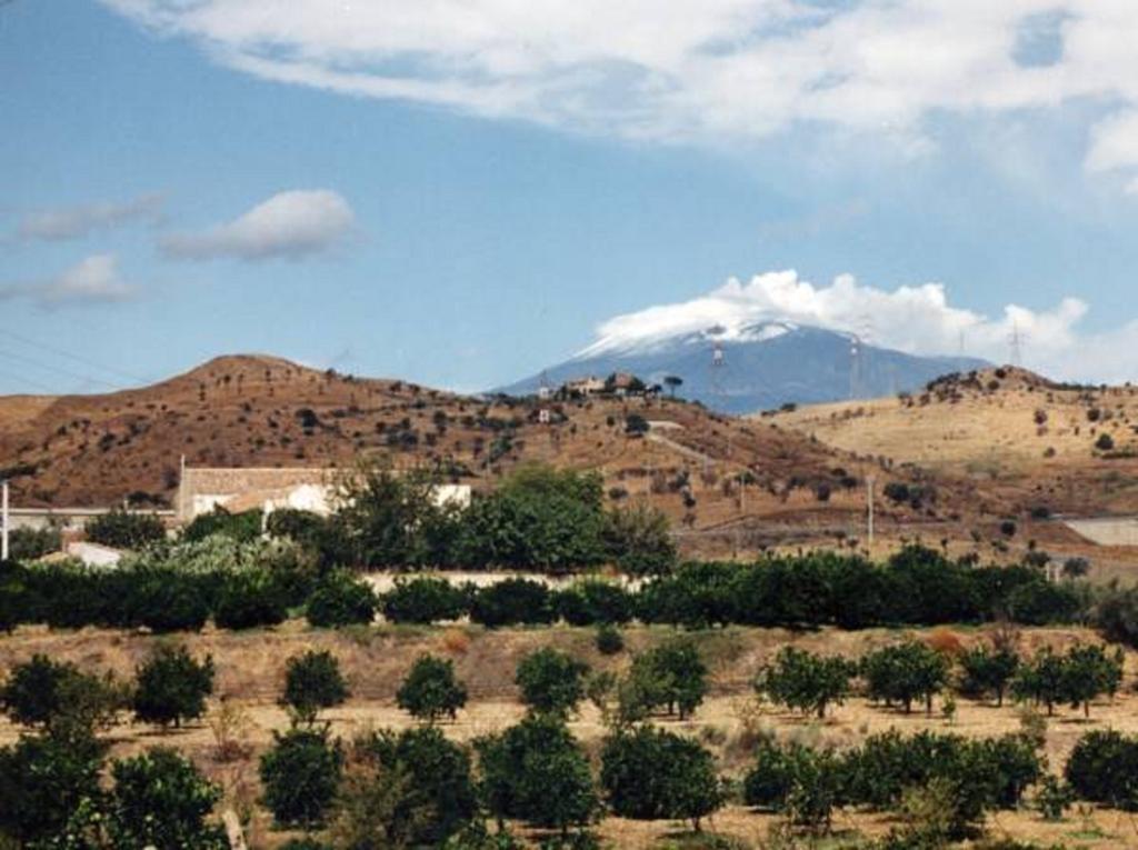 Agriturismo Ruvitello 미스터비안코 외부 사진