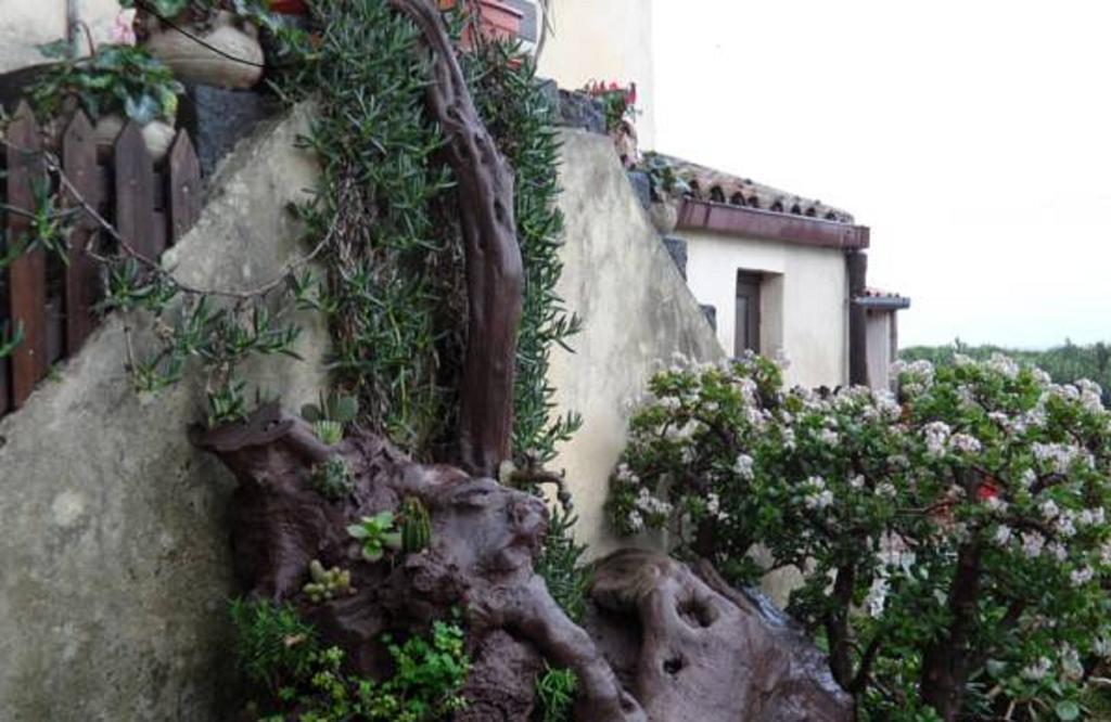 Agriturismo Ruvitello 미스터비안코 객실 사진